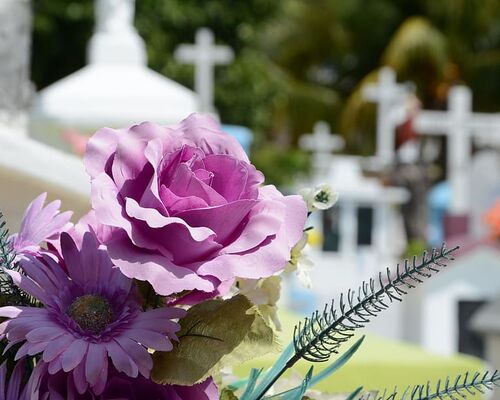 cementerio-flor-cemetery-death
