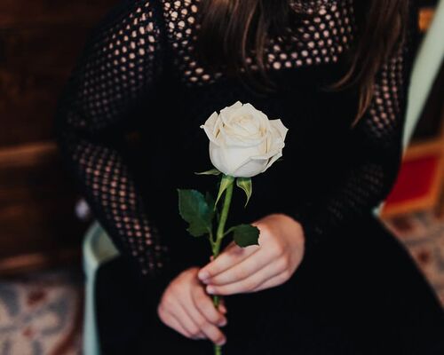 person-holding-white-rose-flower