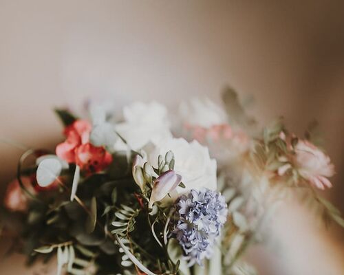 white-purple-and-pink-flowers