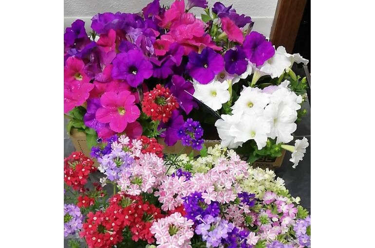 新店舗用花