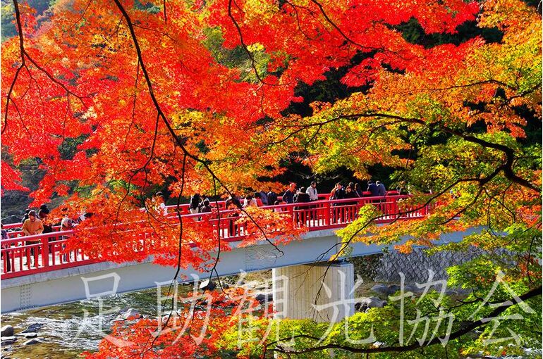 香嵐渓1_20211113114040