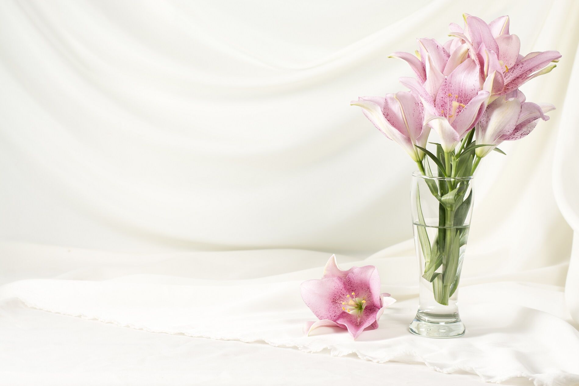 AdobeStock_196183045