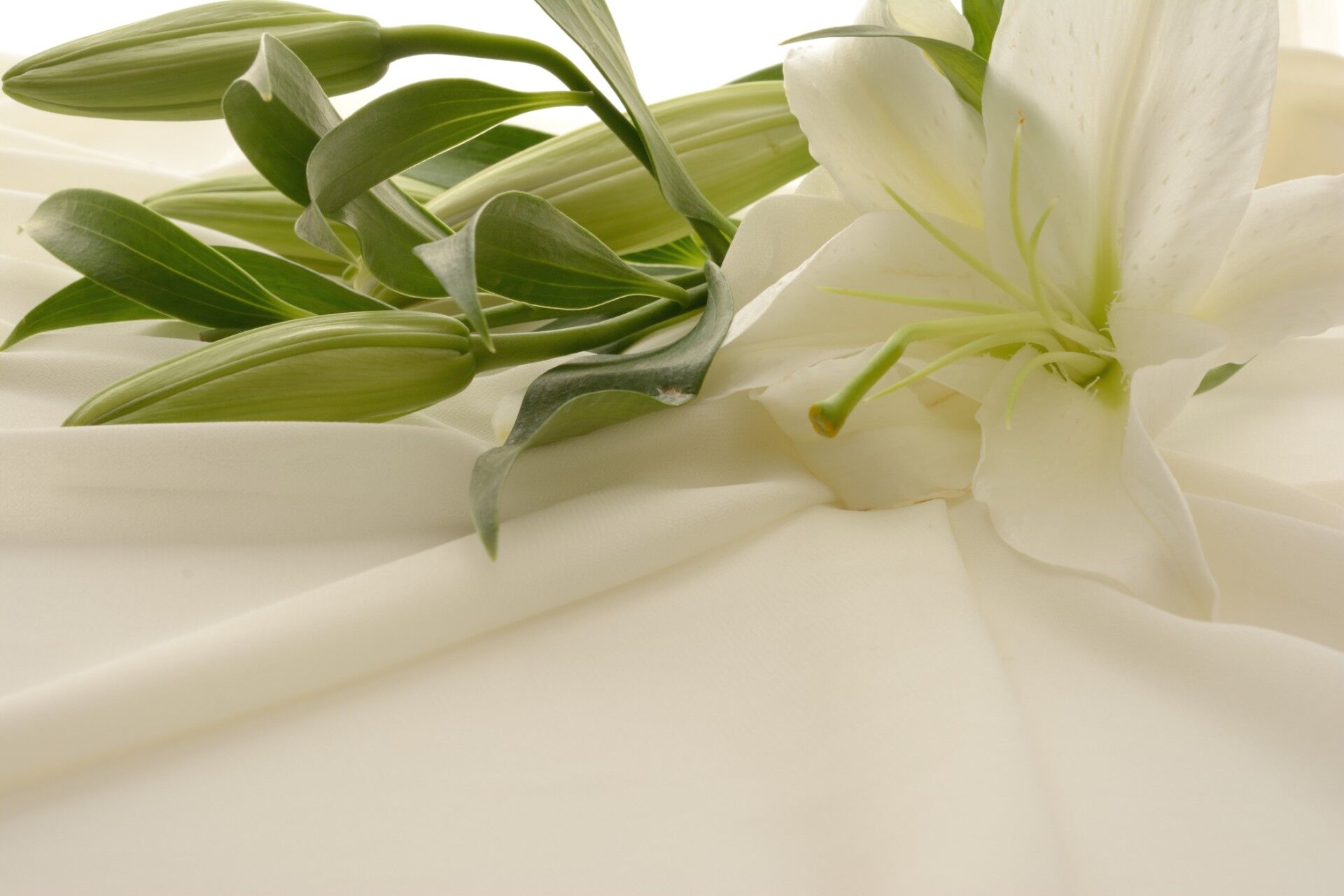 AdobeStock_124398472